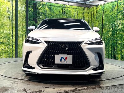 2023 Lexus NX 缩略图 14