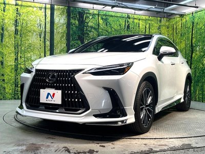 2023 Lexus NX 缩略图 24