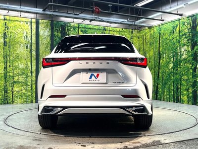 2023 Lexus NX 缩略图 15