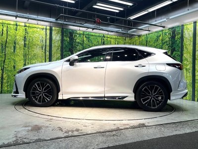 2023 Lexus NX 缩略图 25