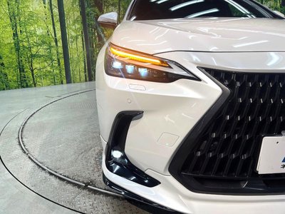 2023 Lexus NX 缩略图 12