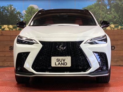 2023 Lexus NX — миниатюра 14