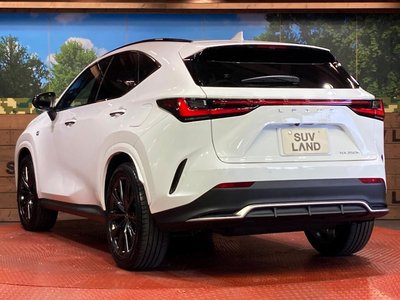 2023 Lexus NX — миниатюра 29