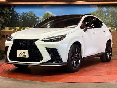 2023 Lexus NX — миниатюра 27