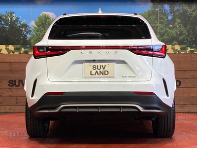2023 Lexus NX — миниатюра 15