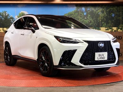 2023 Lexus NX — миниатюра 16