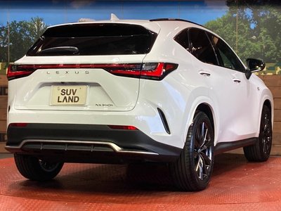 2023 Lexus NX — миниатюра 17