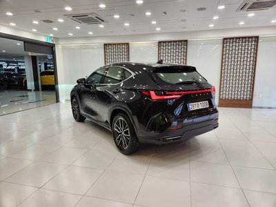 LEXUS NX - 4
