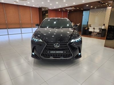 LEXUS NX - 2