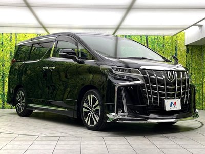 2021 Toyota ALPHARD — миниатюра 16