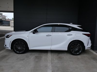 2023 Lexus RX 照片 3