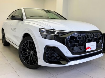 2026 AUDI Q8 照片 8