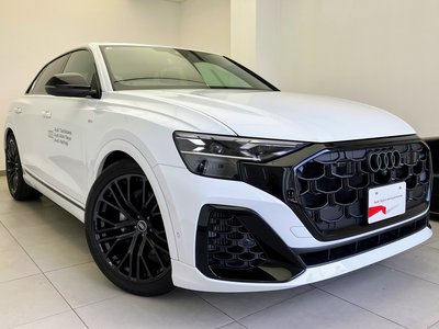 2026 AUDI Q8 照片 9
