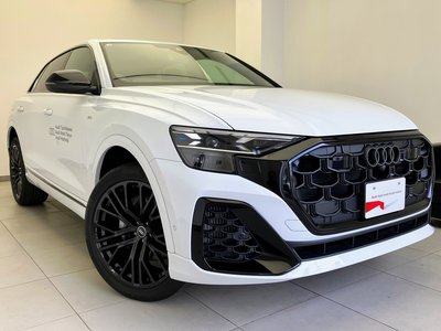 2026 AUDI Q8 照片 10