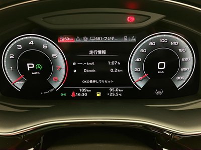 2026 AUDI Q8 thumbnail 54