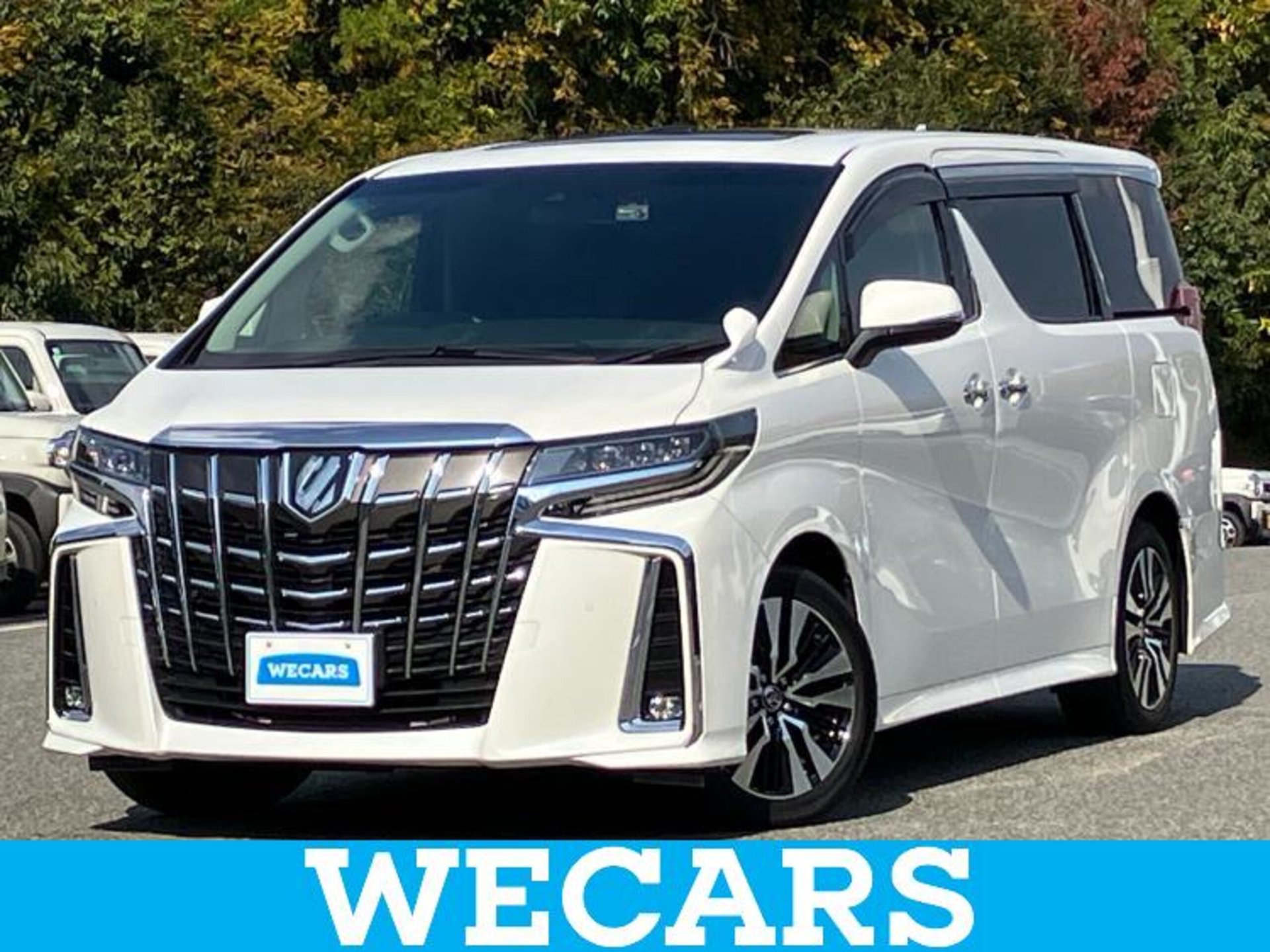 TOYOTA ALPHARD - View 1