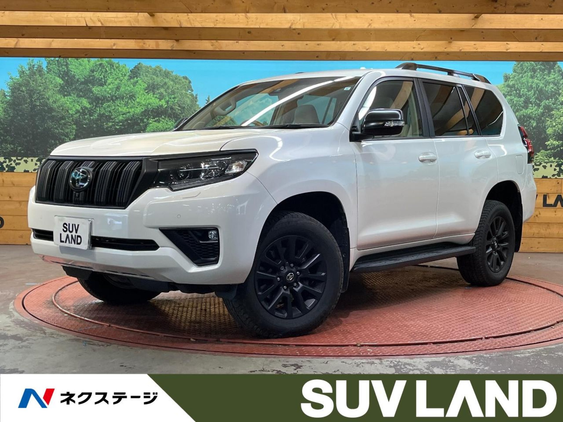 TOYOTA LAND CRUISER PRADO - View 1