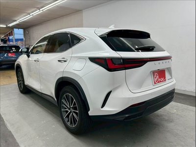 LEXUS NX - 10