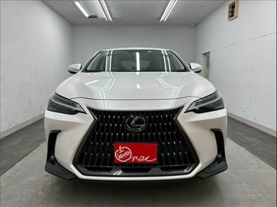 LEXUS NX - 2