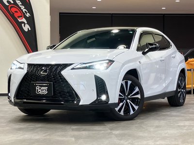 LEXUS UX - 10