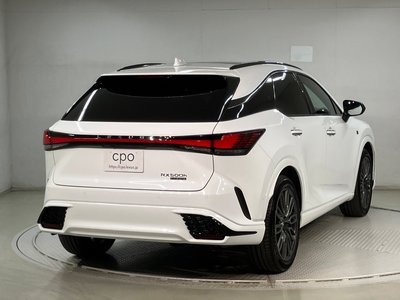 2023 Lexus RX 照片 5