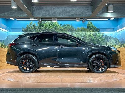 2022 Lexus NX 缩略图 27