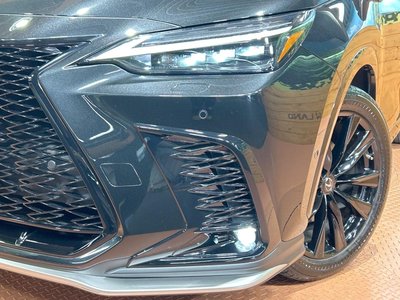 2022 Lexus NX 缩略图 12