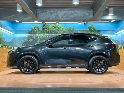 2022 Lexus NX 缩略图 25