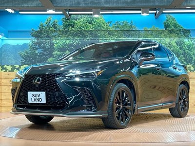 2022 Lexus NX 缩略图 24