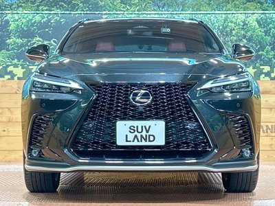 2022 Lexus NX 缩略图 14