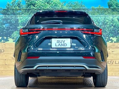 2022 Lexus NX 缩略图 15
