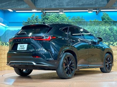 2022 Lexus NX 缩略图 17