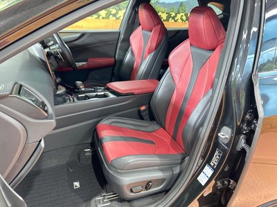 2022 Lexus NX 缩略图 30