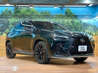 2022 Lexus NX 缩略图 16