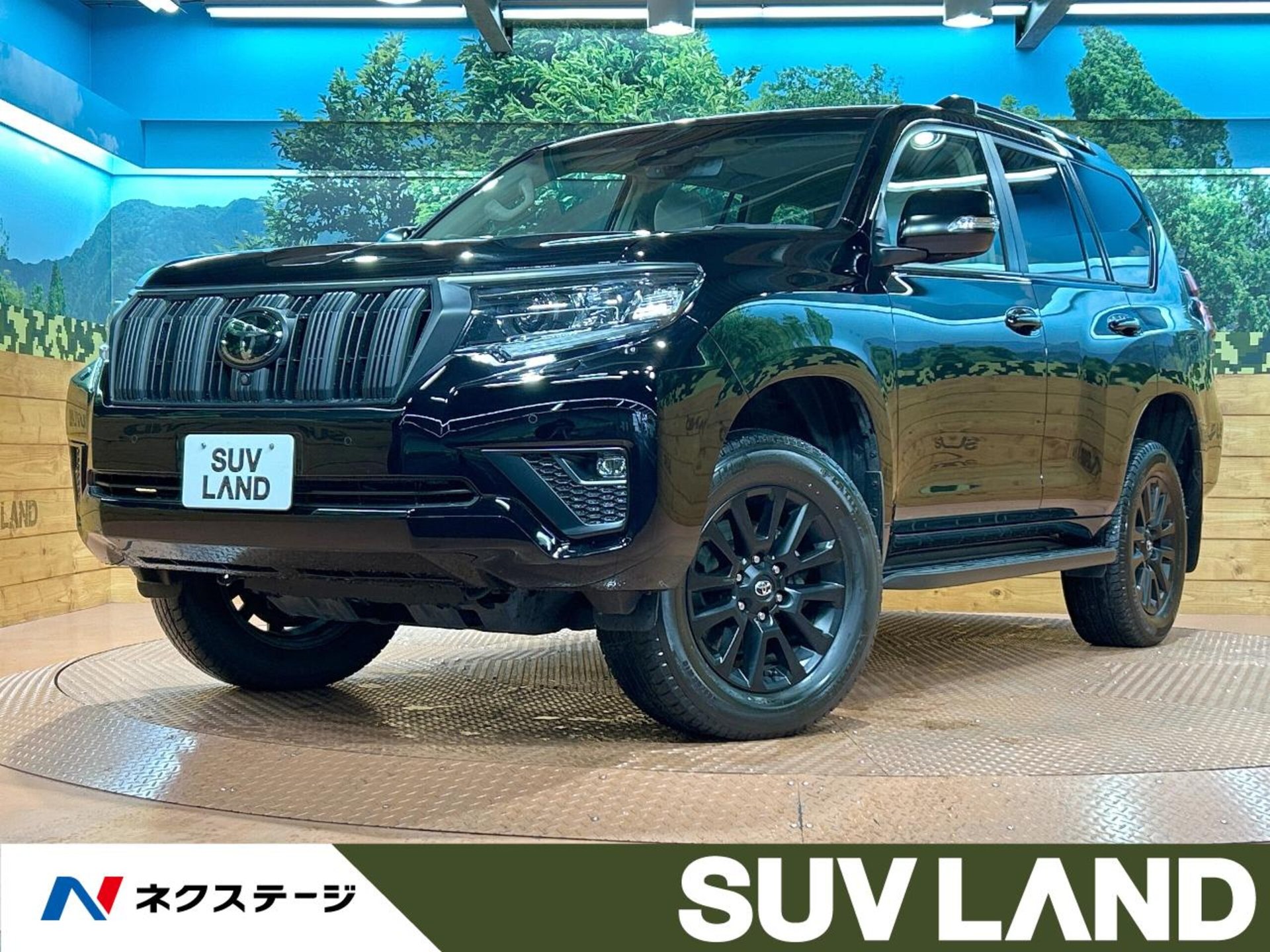 TOYOTA LAND CRUISER PRADO - View 1