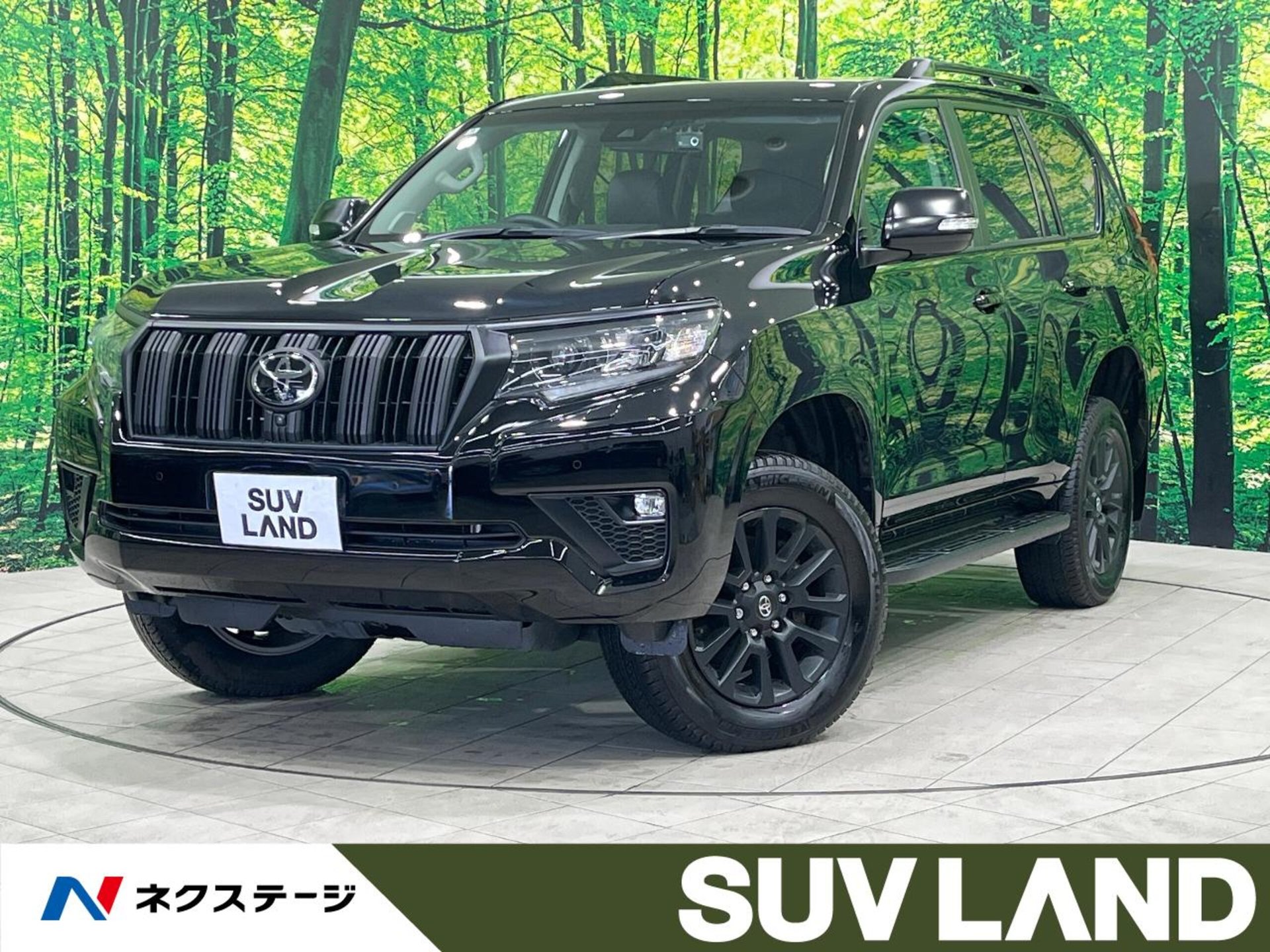 TOYOTA LAND CRUISER PRADO - View 1