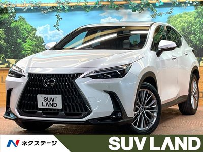 LEXUS NX - 1