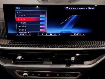 2023 BMW X6 — миниатюра 44
