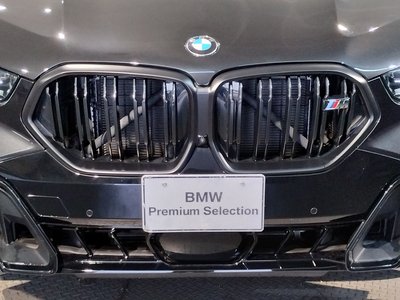 2023 BMW X6 — миниатюра 21