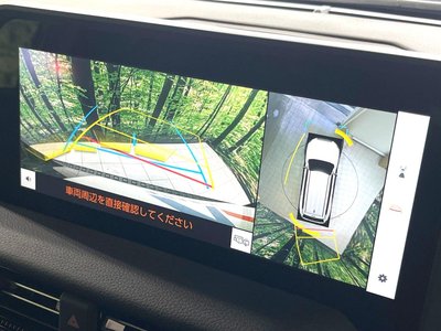 TOYOTA LAND CRUISER 250 - 4