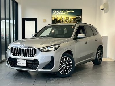 BMW X1 - 1