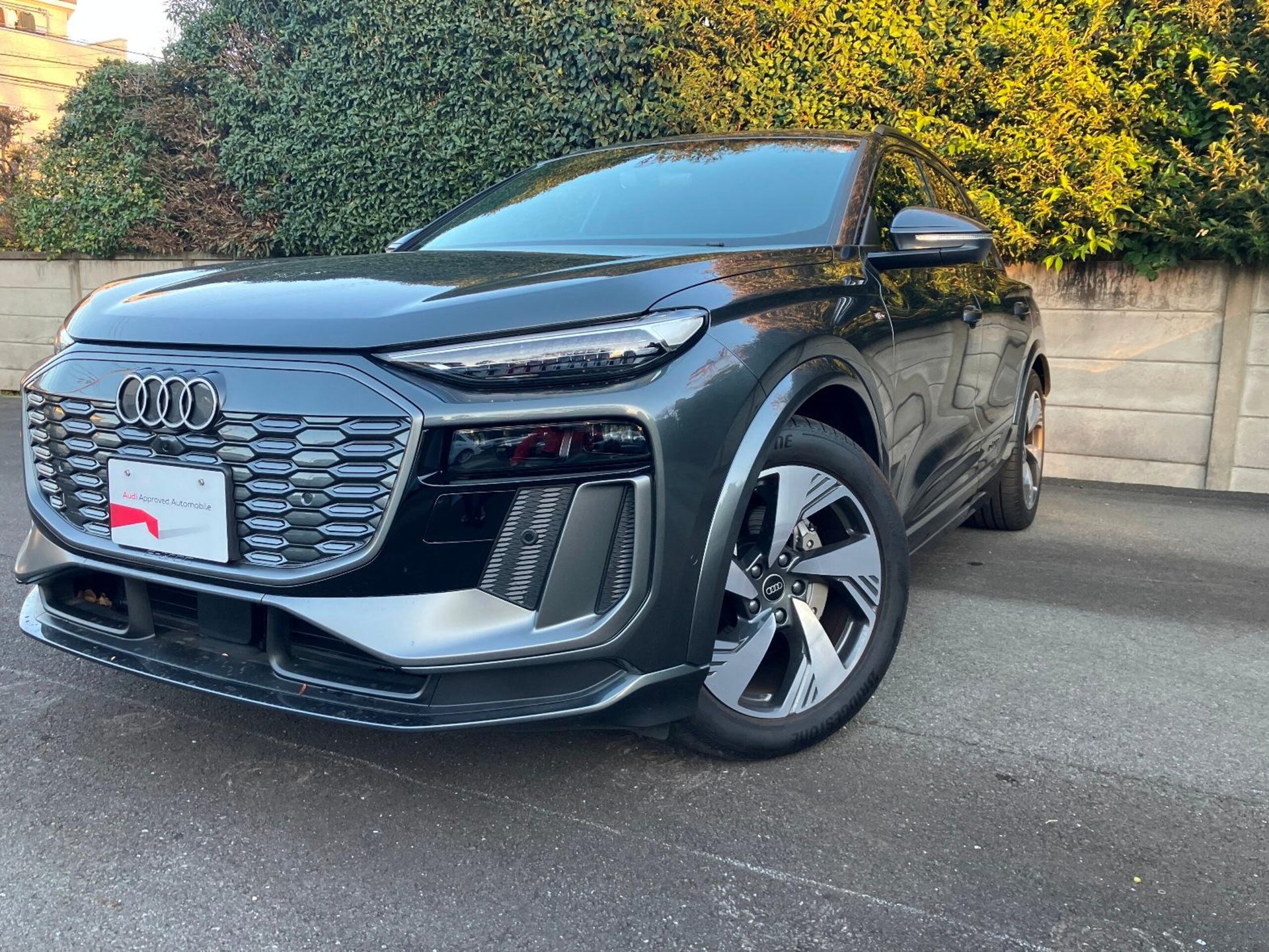 AUDI Q6 E-TRON - View 1