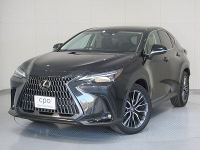 LEXUS NX - 1