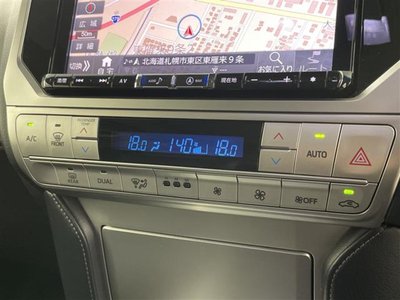 2019 Toyota LAND CRUISER PRADO 缩略图 14