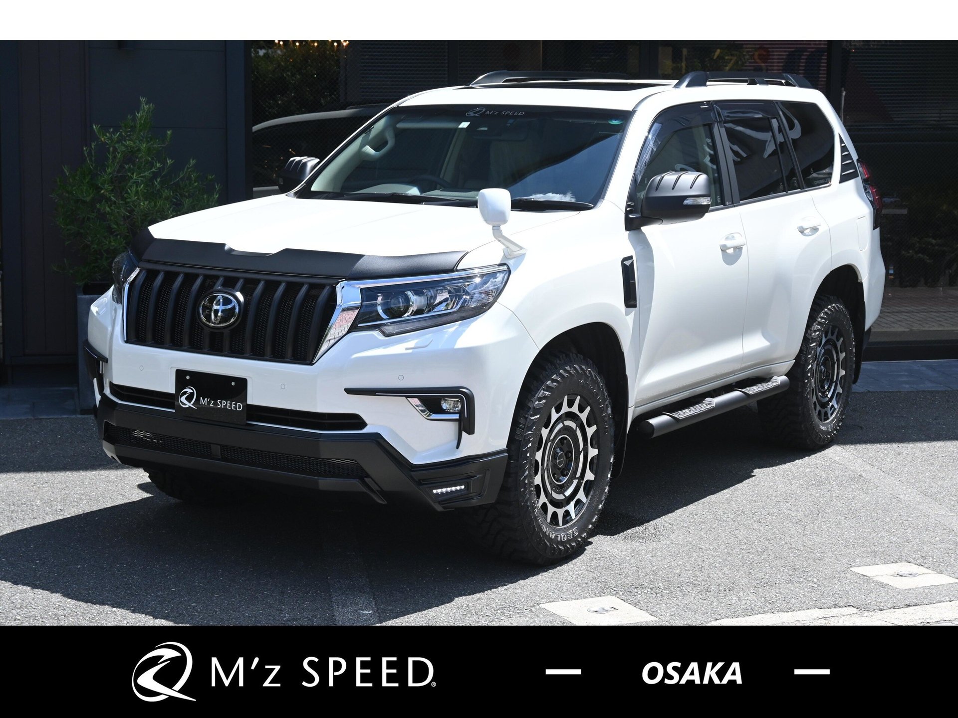 TOYOTA LAND CRUISER PRADO - View 1