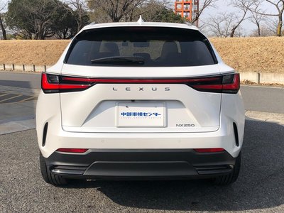 LEXUS NX - 10