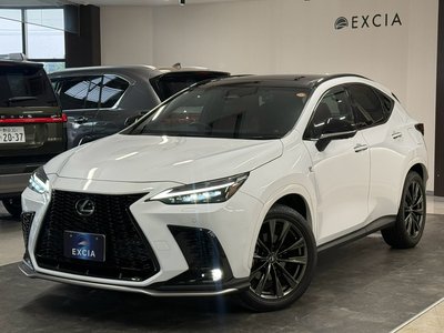 2023 Lexus NX 照片 6