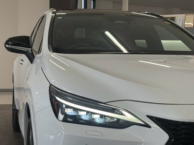 2023 Lexus NX — миниатюра 16