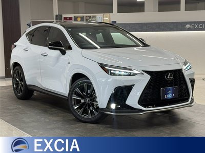 2023 Lexus NX 照片 1