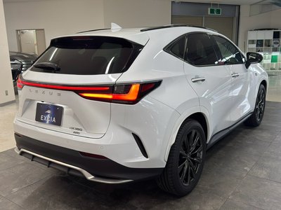 2023 Lexus NX — миниатюра 13